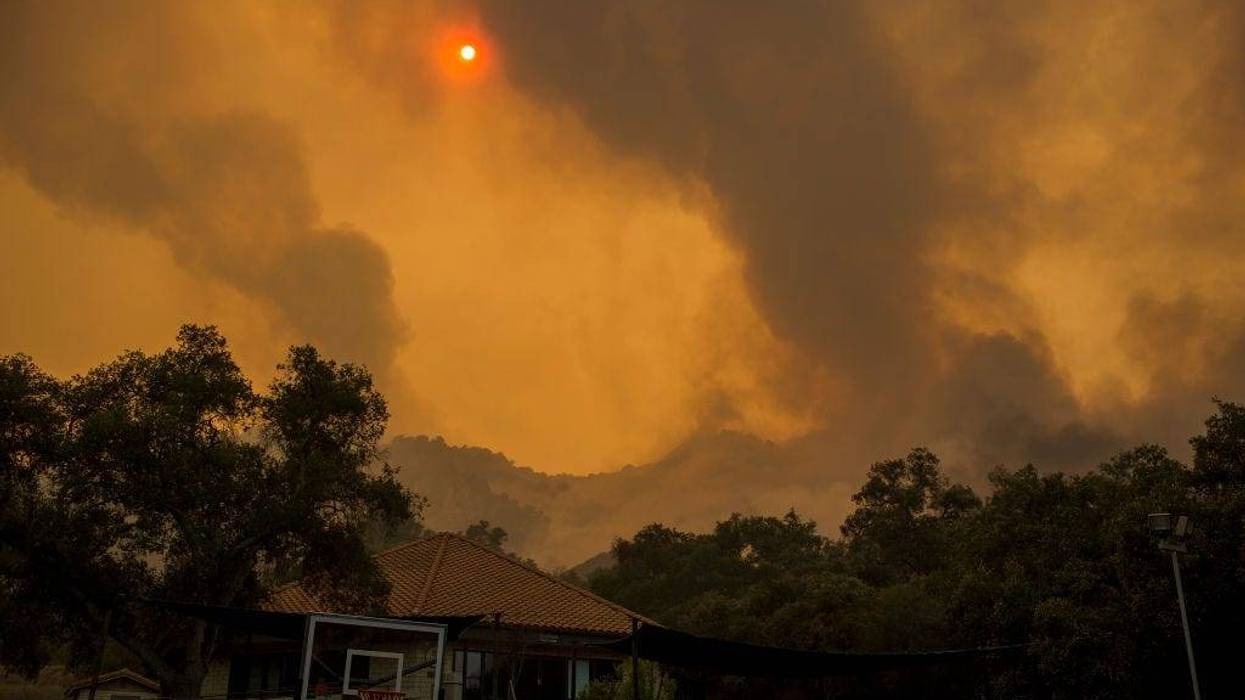 David McNew/Getty Images