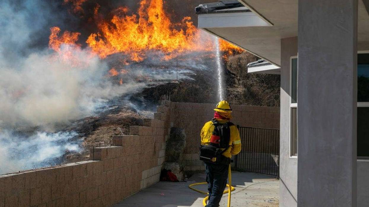 David McNew/Getty Images