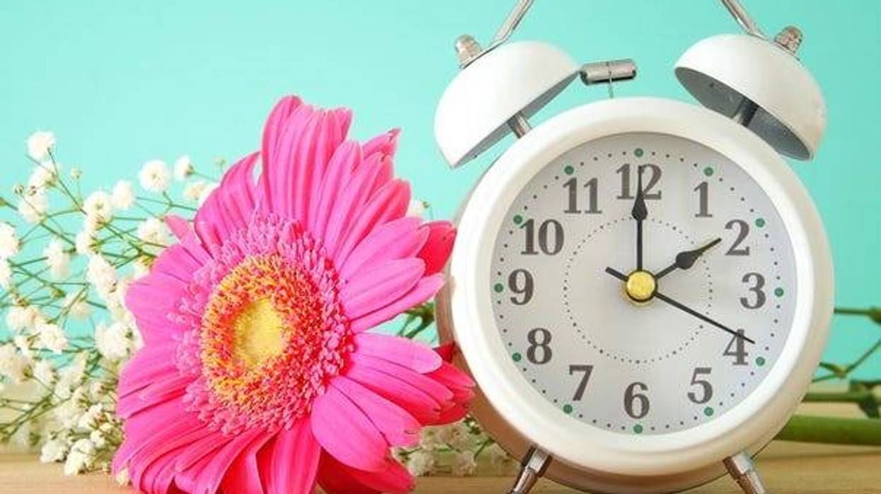 daylight saving time spring forward