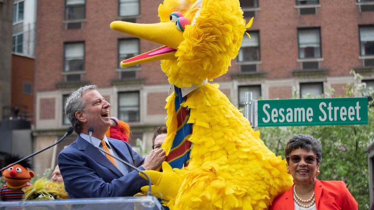 de Blasio big bird