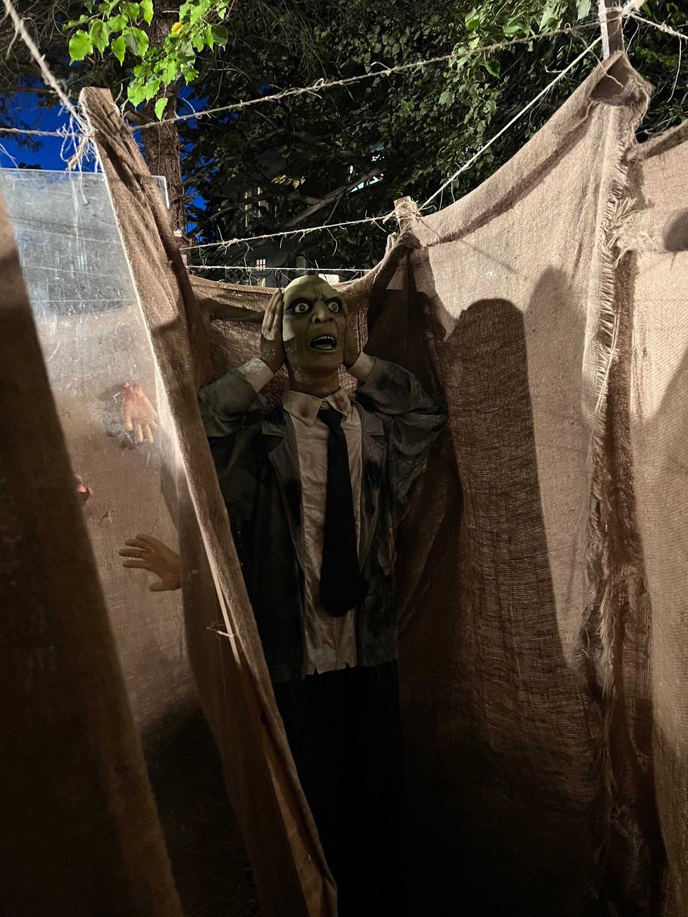 Dead end in the maze