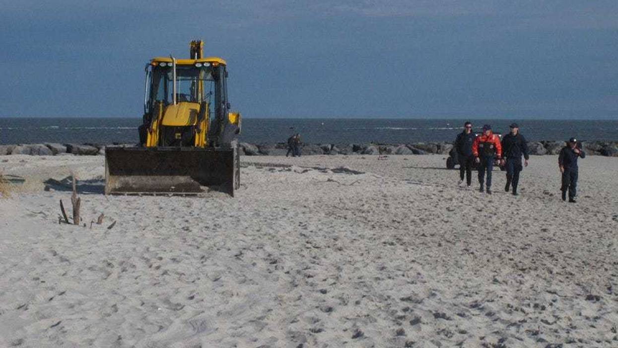 Dead, frozen whale buried on NJ beach; removal was too hard