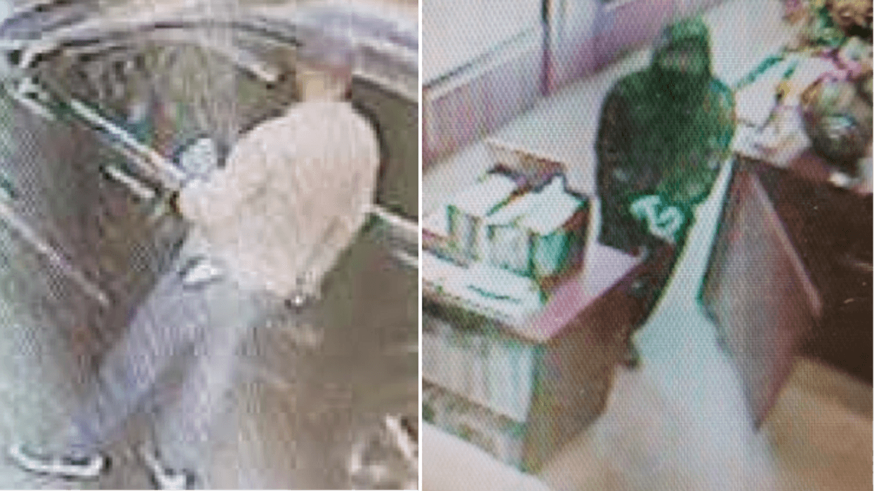 Dearborn robbery suspects