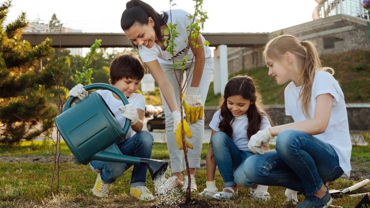 Delighted girls sitting around young tree and keeping smile on faces while looking at the process
