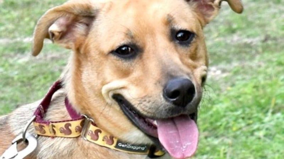 Delta @ Austin Humane Society 1/22/15