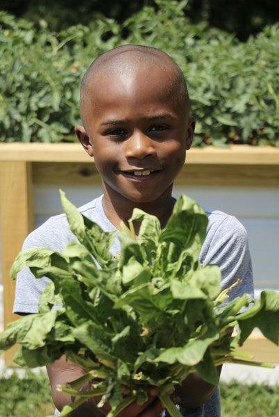 Delta Community Credit Union