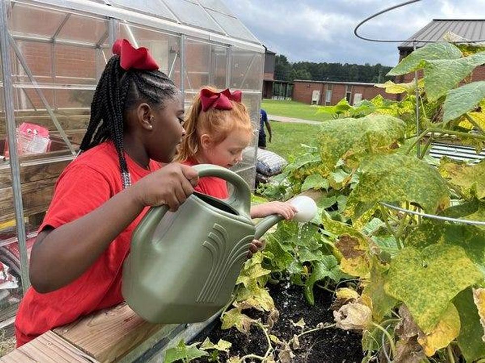 Delta Community Credit Union