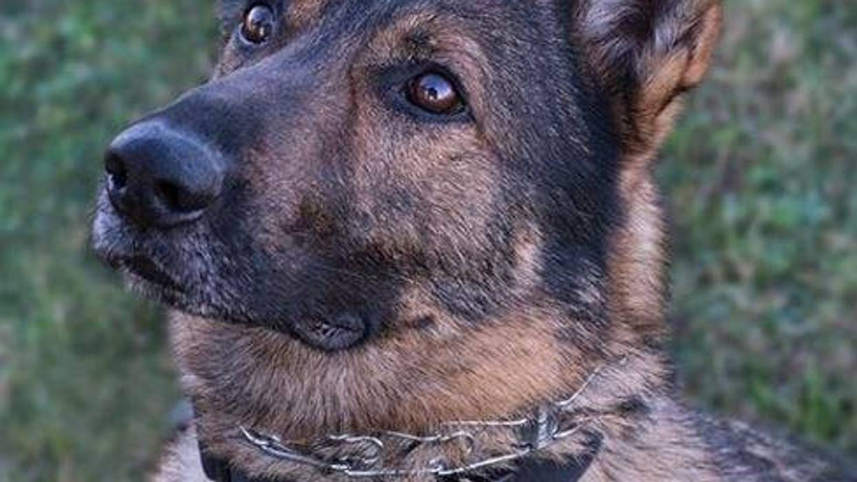 Deputy Drako Retires