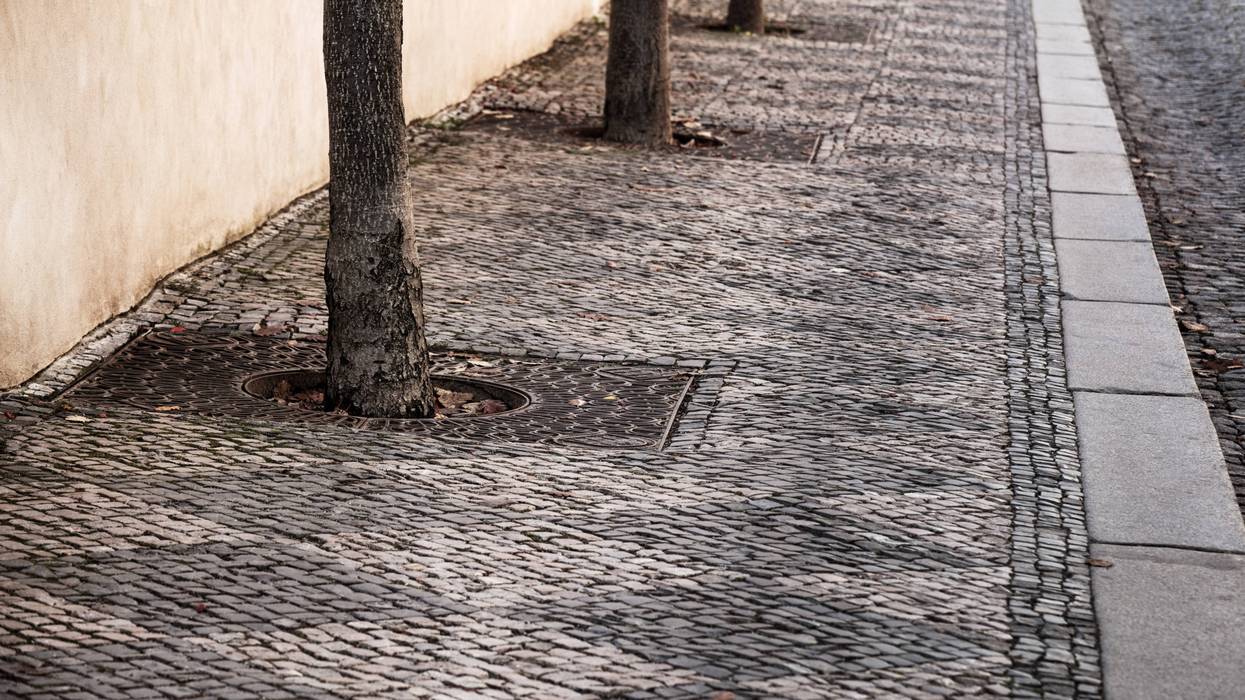 Detroit man poses as public works employee to steal $20,000 worth of tree grates