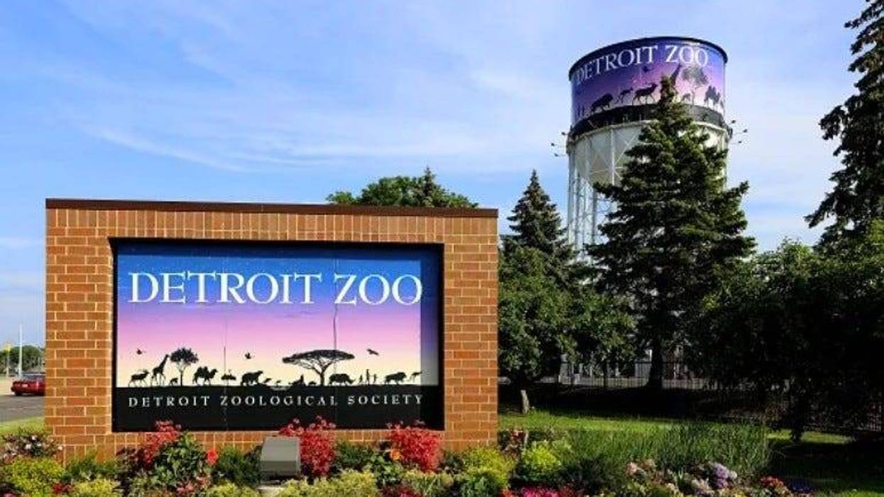Detroit Zoo