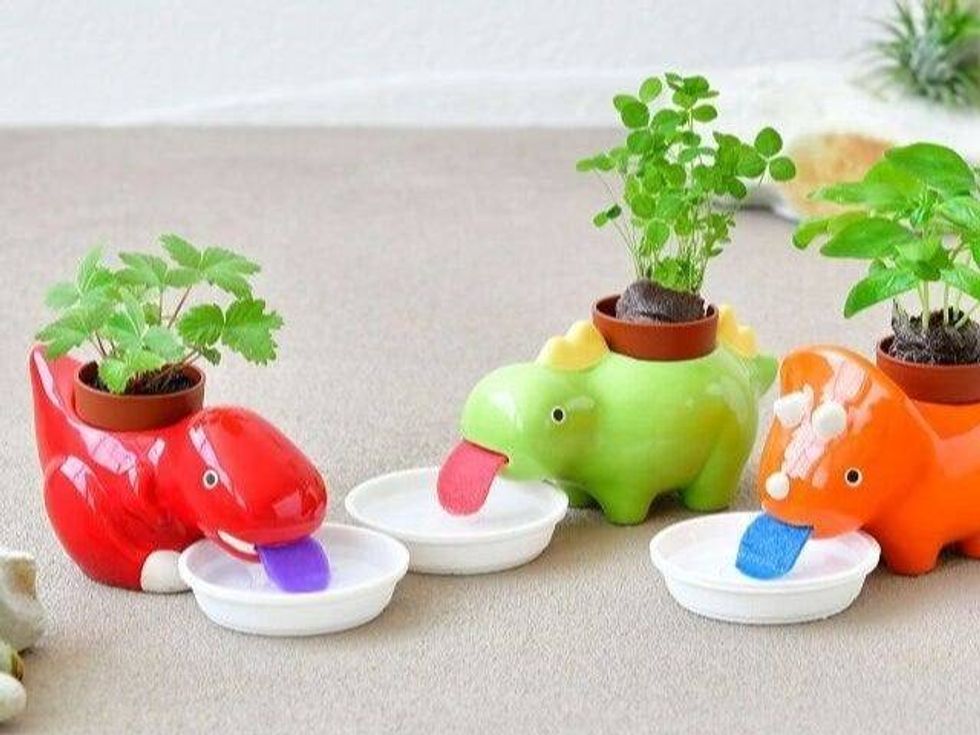 Dino Planters