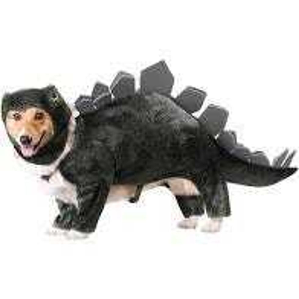 Dinosaur dog costume