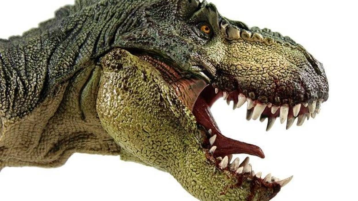 dinosaur