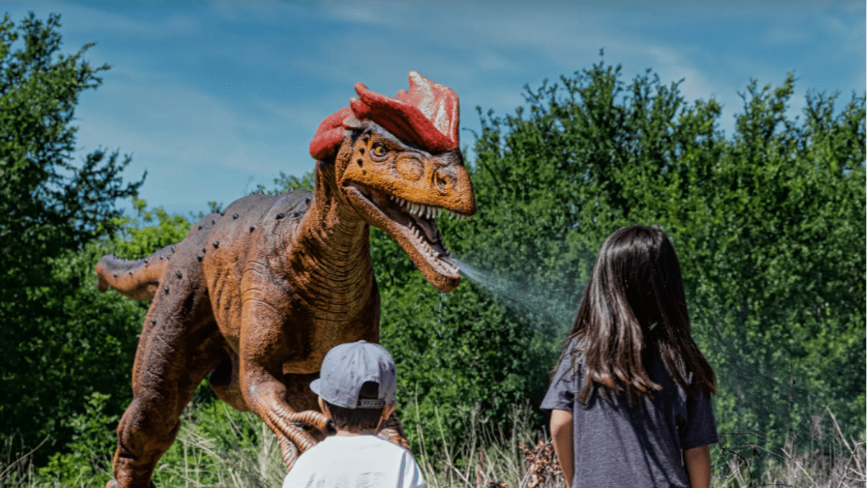 Dinosaur