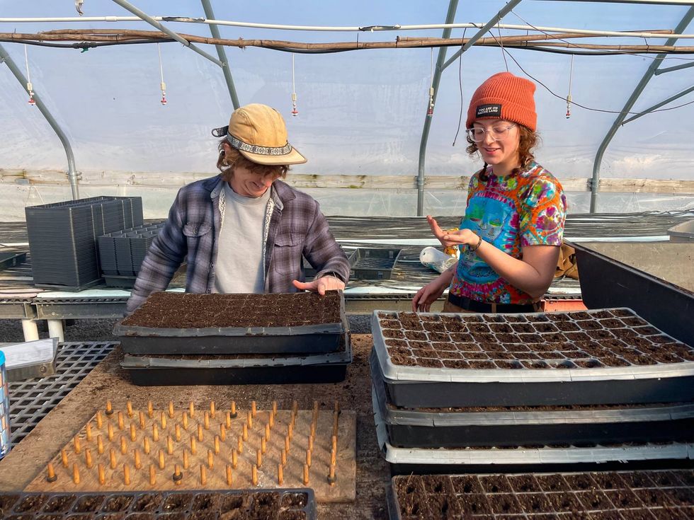 Director of Agriculture & Education Jena Hood (left) and Harvest & Distribution Coordinator Jo Philips (right) seed trays in the EarthDance Greenhouse.