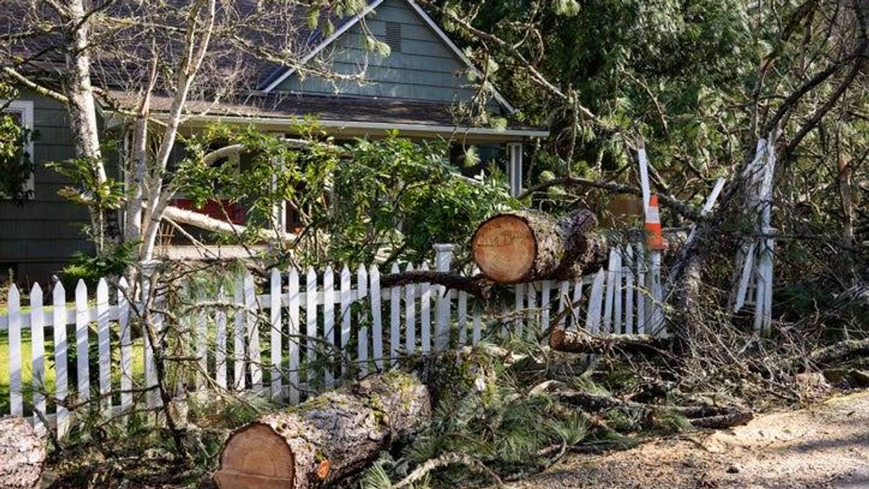 Disaster insurance