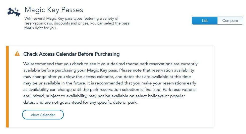 Disneyland Magic Key