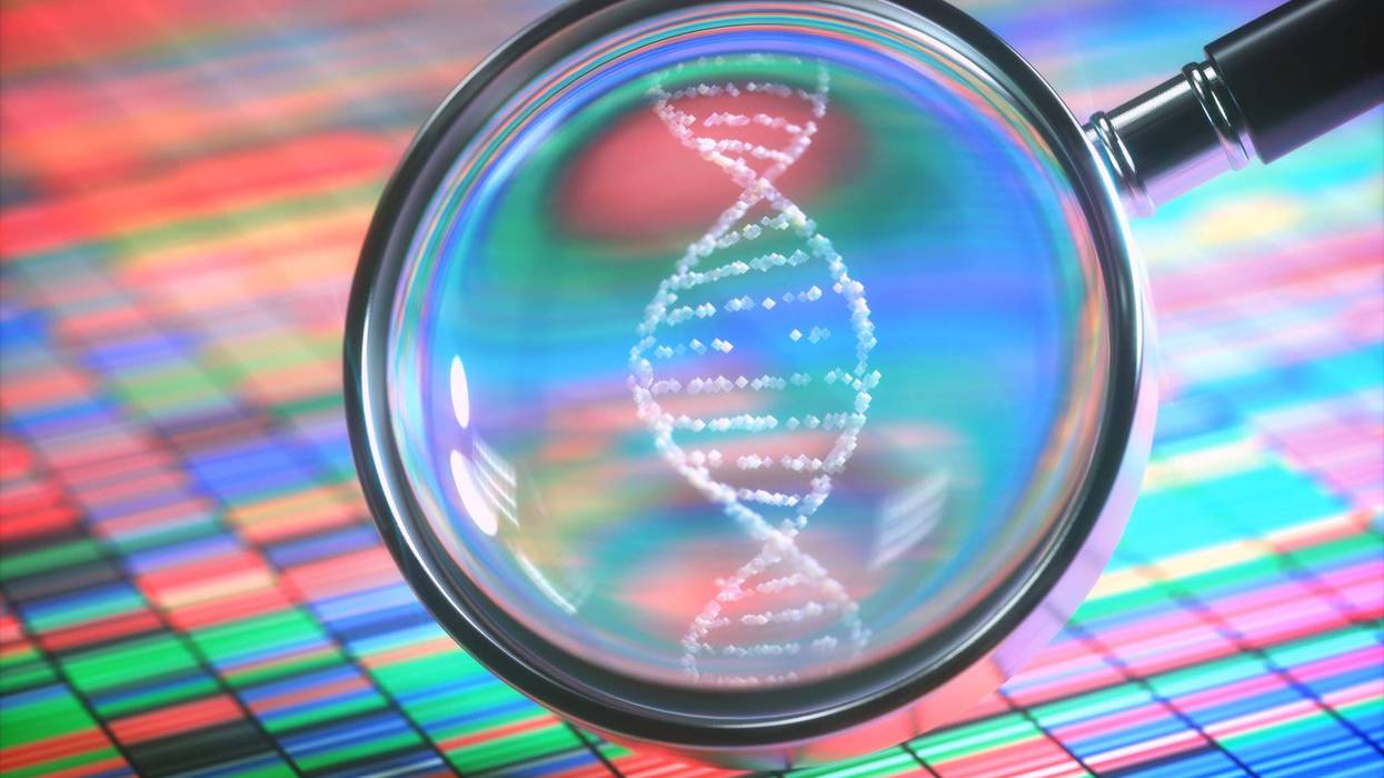 DNA Test