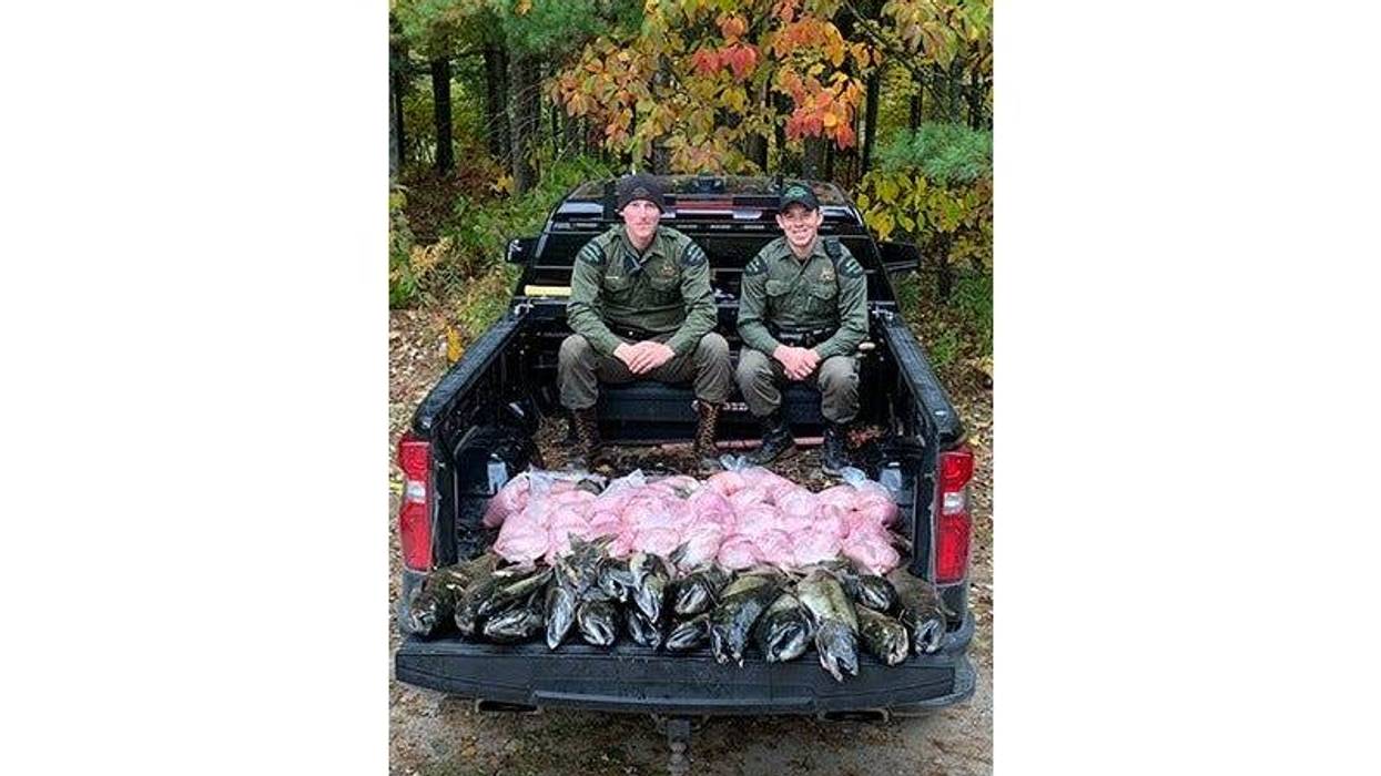 DNR conservation officers in pickup truck bed with illegally caught salmon