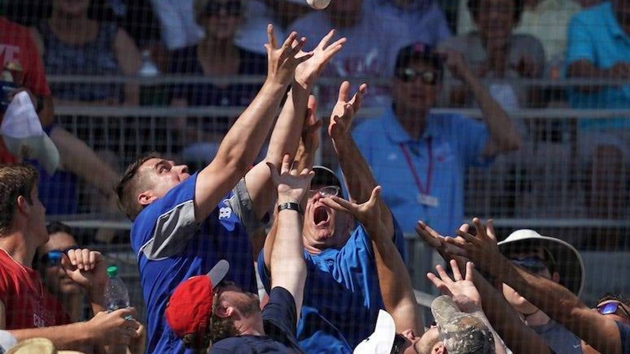 dodgers, fan, baseball fan, foul, foul ball