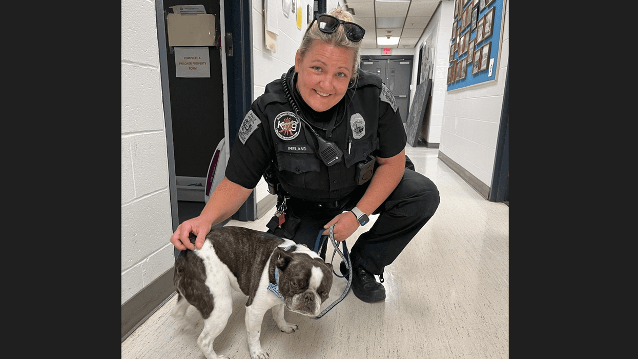 Dog abandoned at the airport