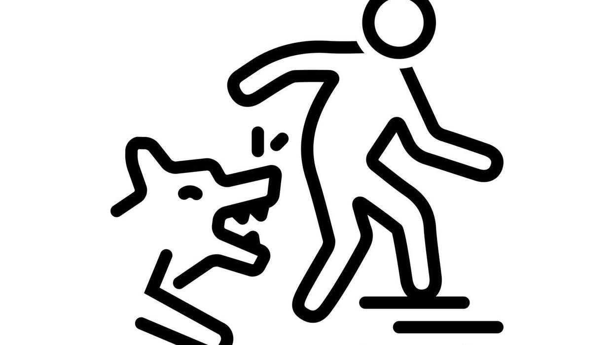 Dog Bite