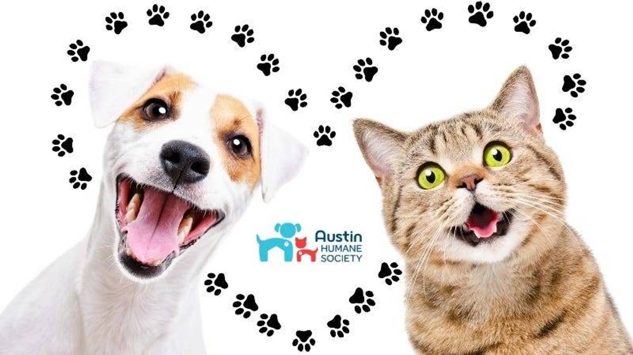 Dog Cat AHS logo Getty Images