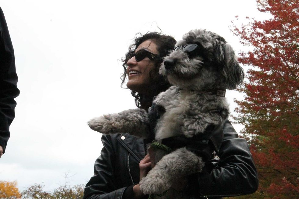 Dog dressed as a motorcycle ridder.