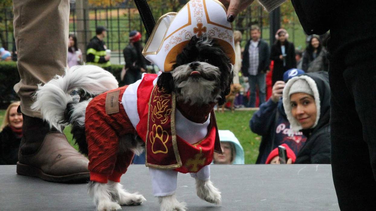 Dog dressed as pope at dog Halloween parade.