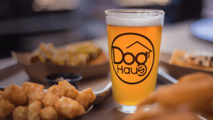 Join Gavin at Dog Haus Biergarten