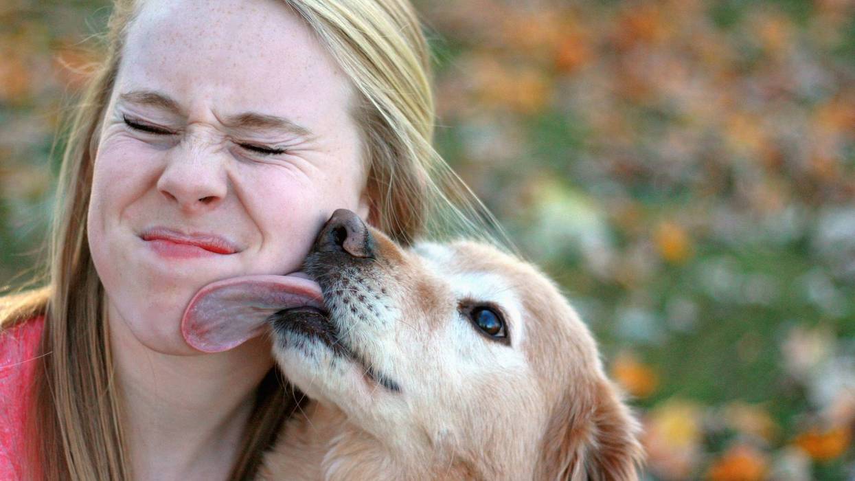Dog kisses