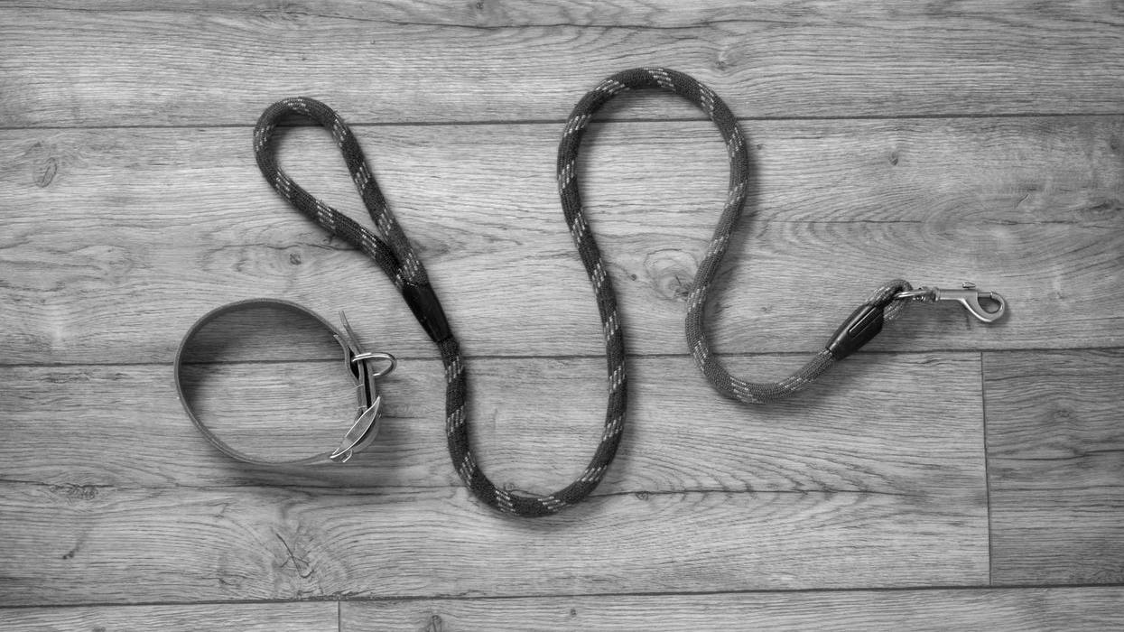 Dog leash and collar on a table. Black and white.