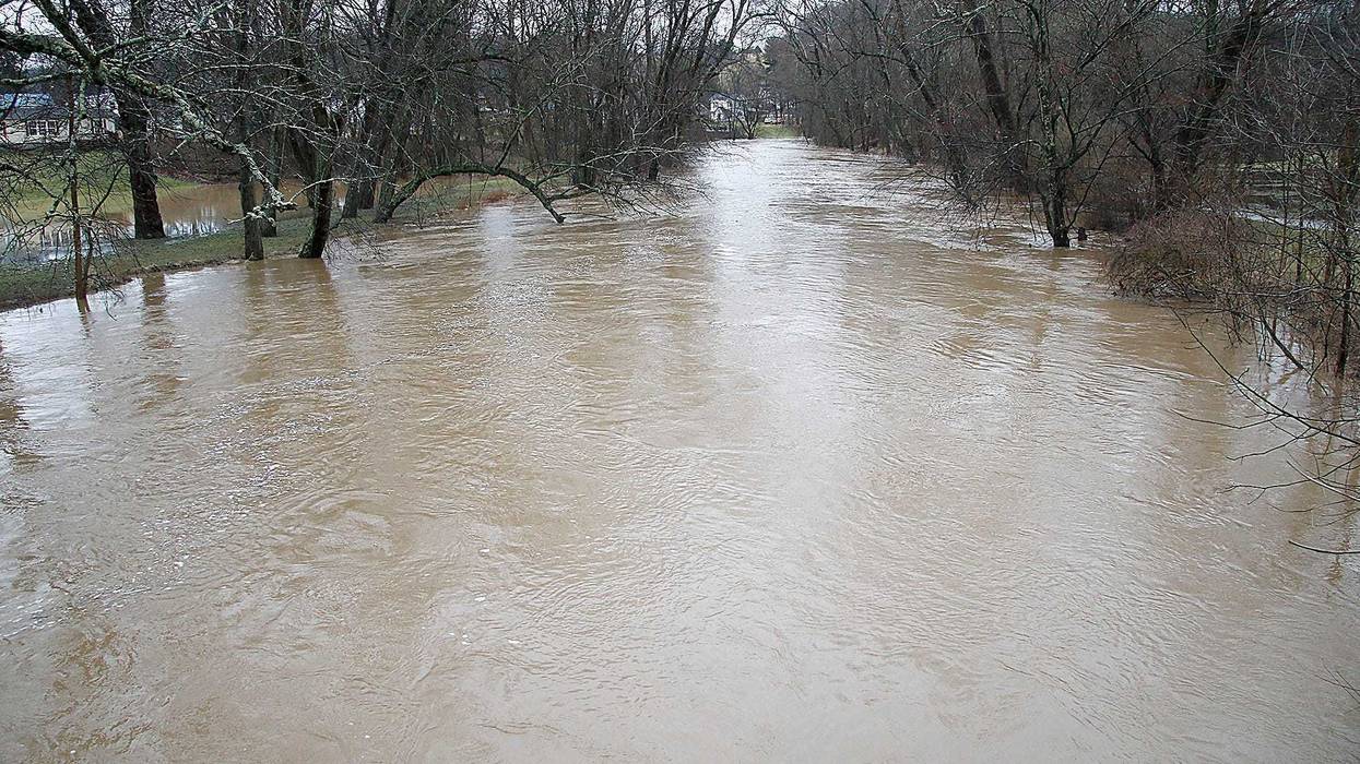 Dog Rescued From Los Angeles River