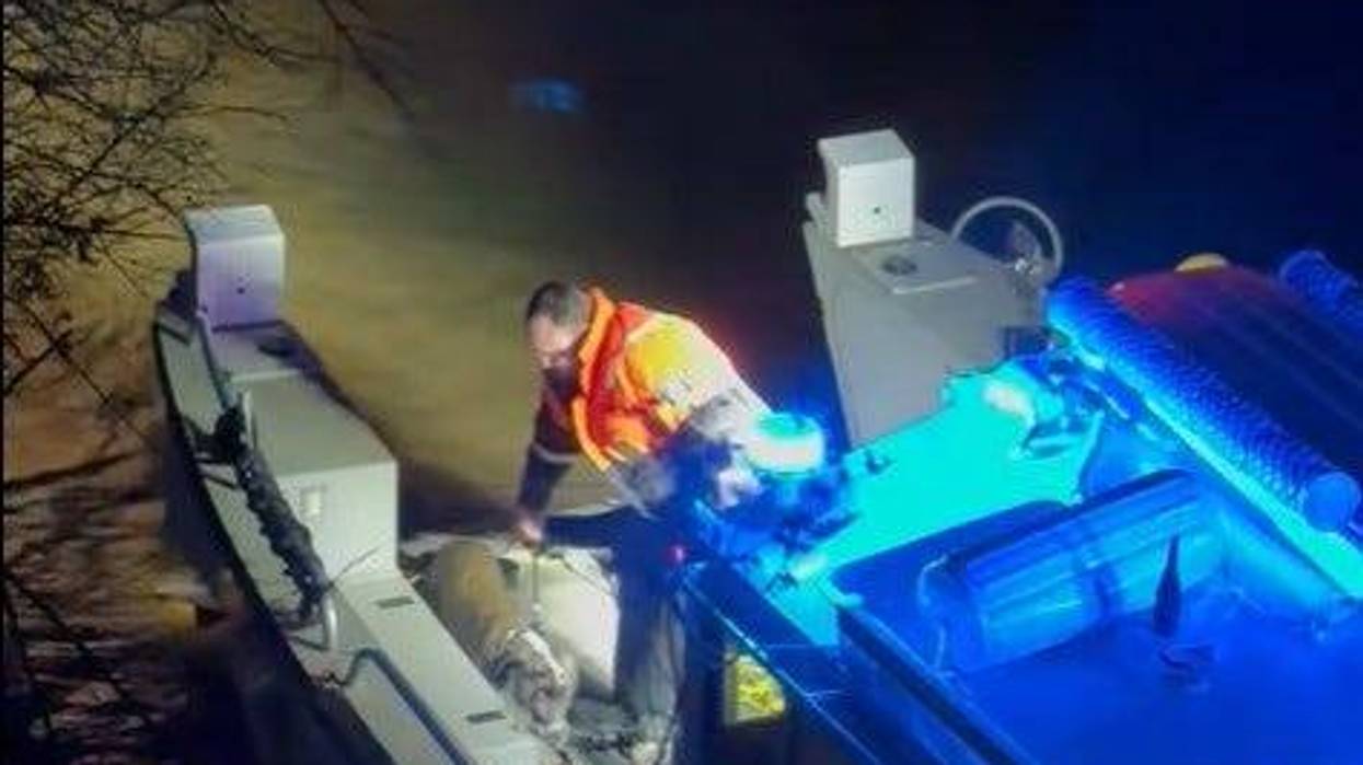 Dog rescued in Ohio River