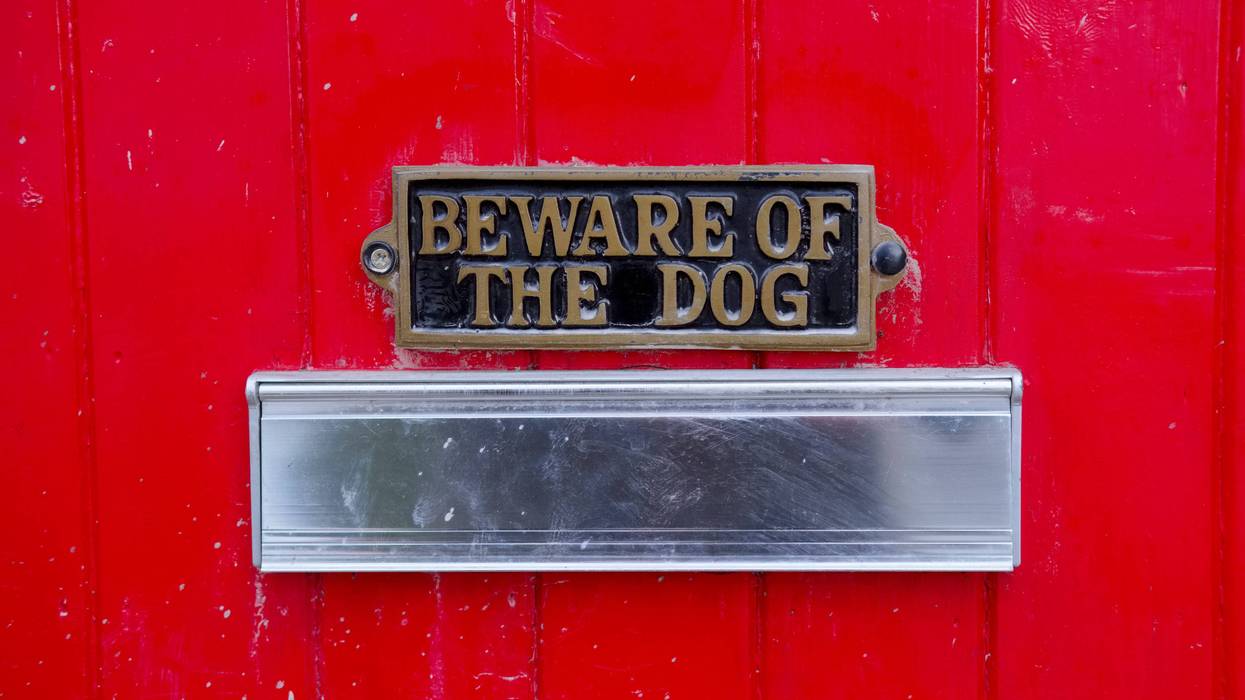 Dog sign