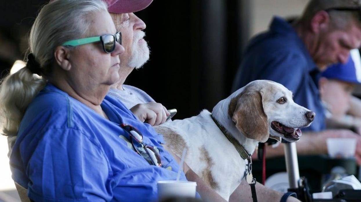 dog stadium