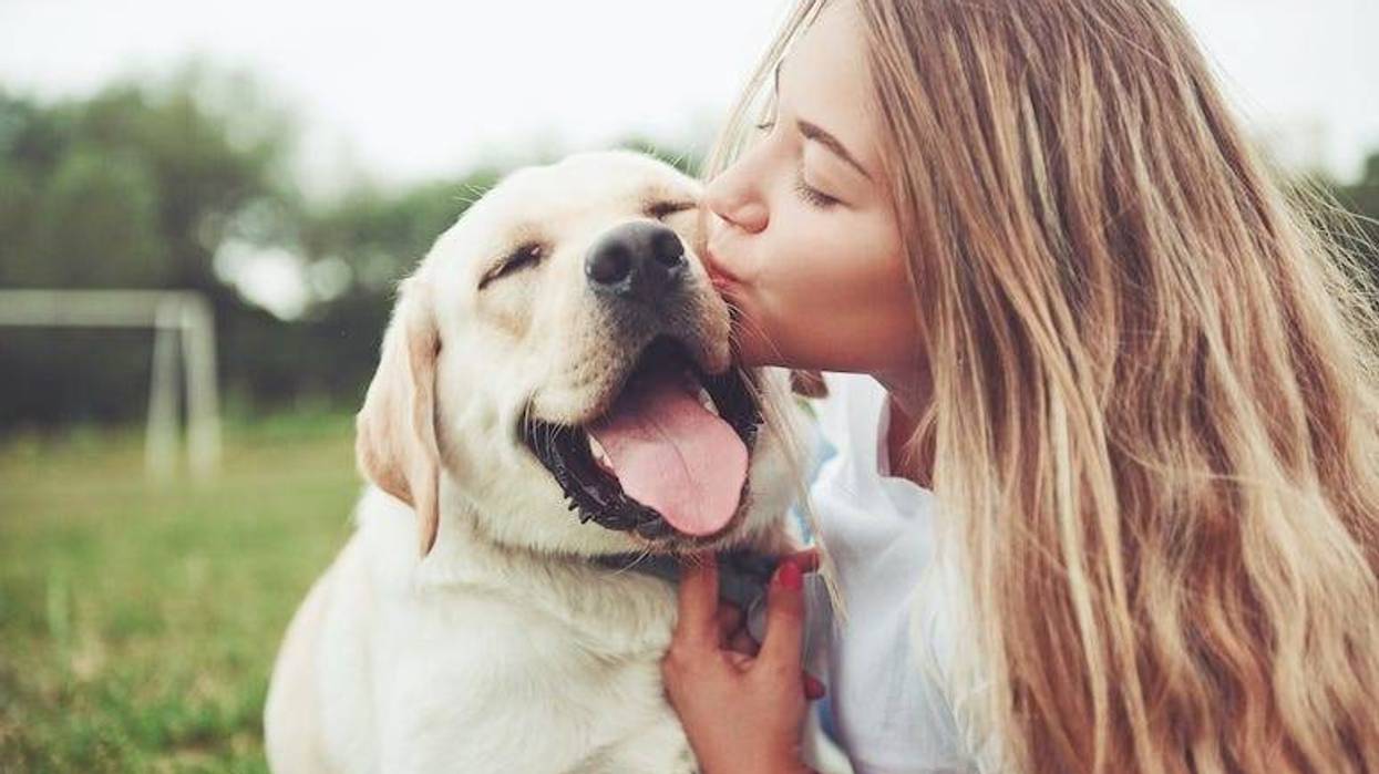 Dog, Woman, Kiss, Hug