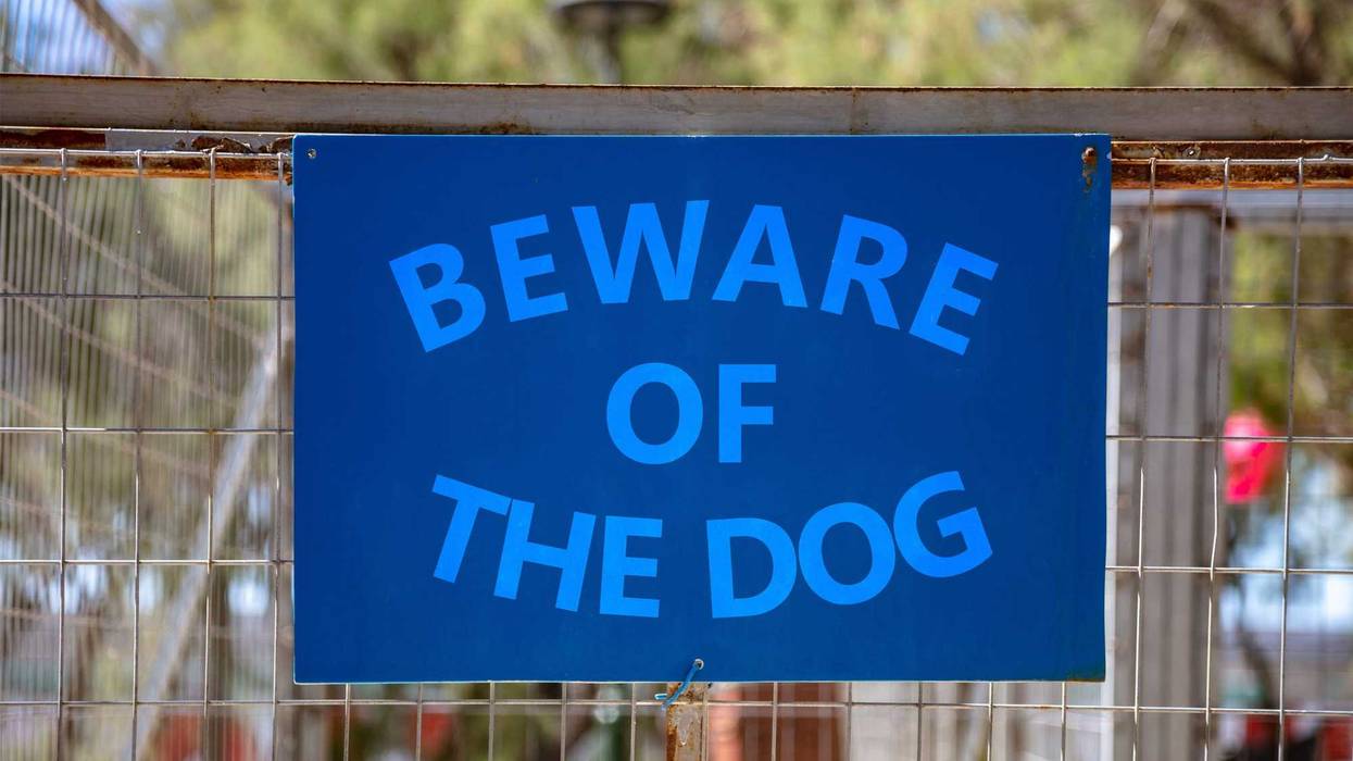 Dogs, Dog attack, Child, School Bus, St. Paul, Police Department