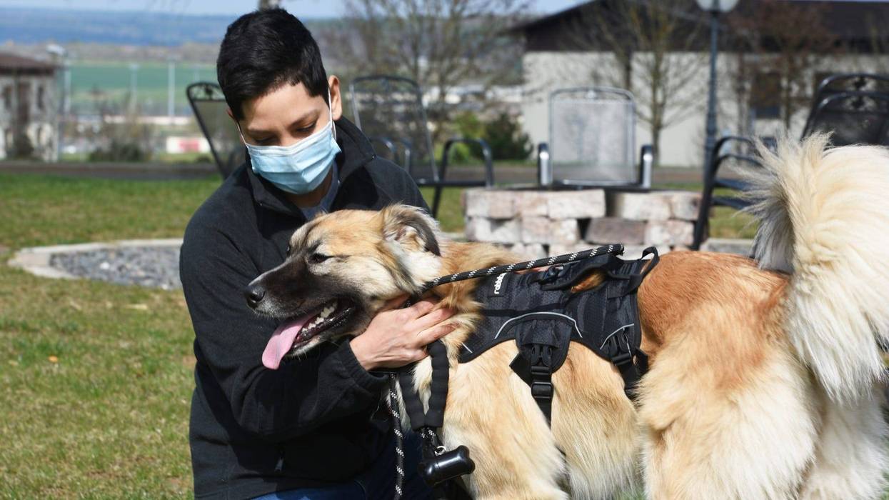 Dogs in the Dorm program improves service members’ mental health