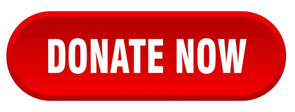 Donate now