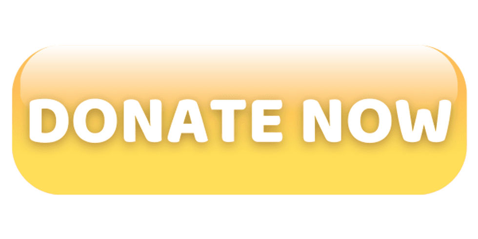 DONATE NOW