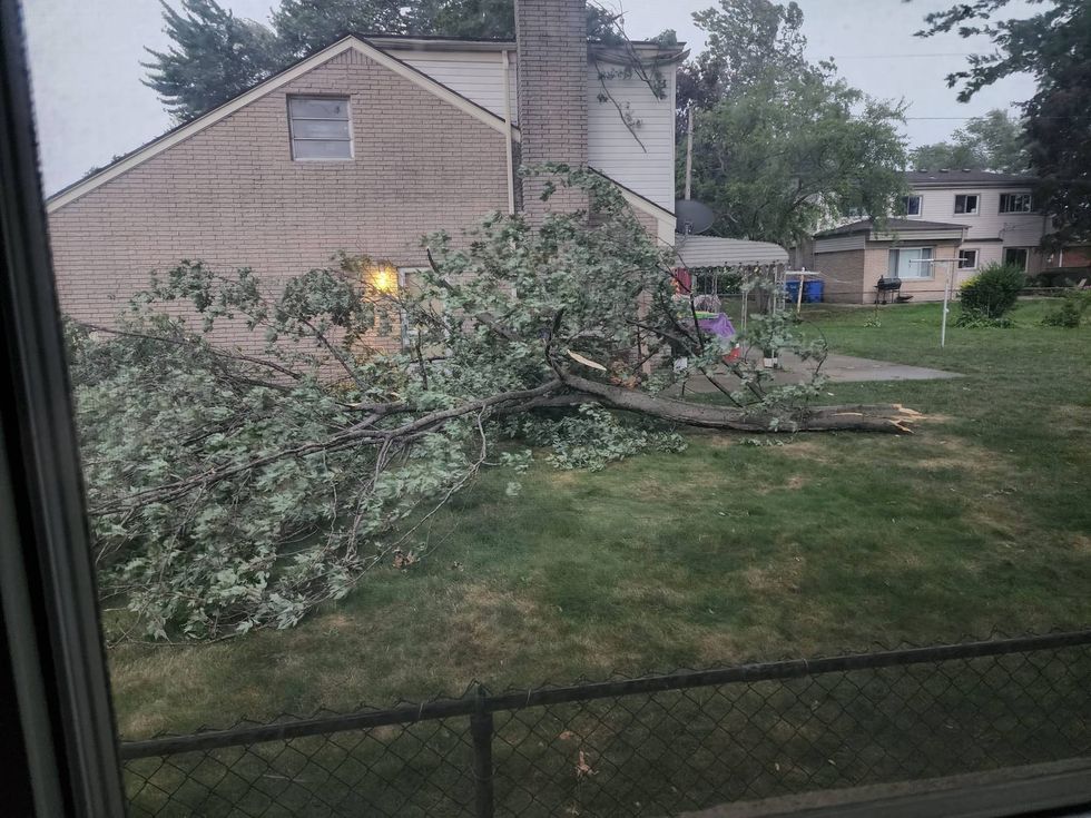 Downed tree branch in Warren.