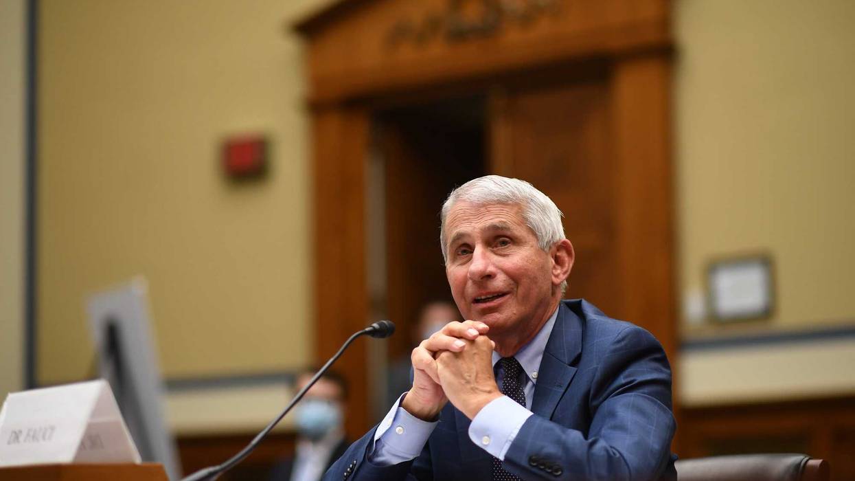 Dr. Anthony Fauci, director of the National Institute for Allergy and Infectious Diseases, testifies before a House Subcommittee on the Coronavirus Crisis hearing on July 31, 2020 in Washington, DC.