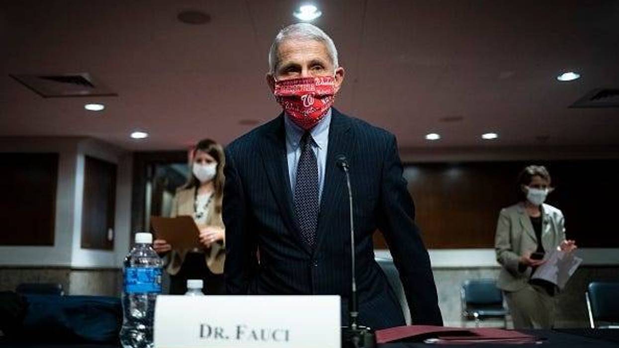 Dr. Fauci, White House Advisor, Trading Cards, Chicago Graphic Designer, Collection