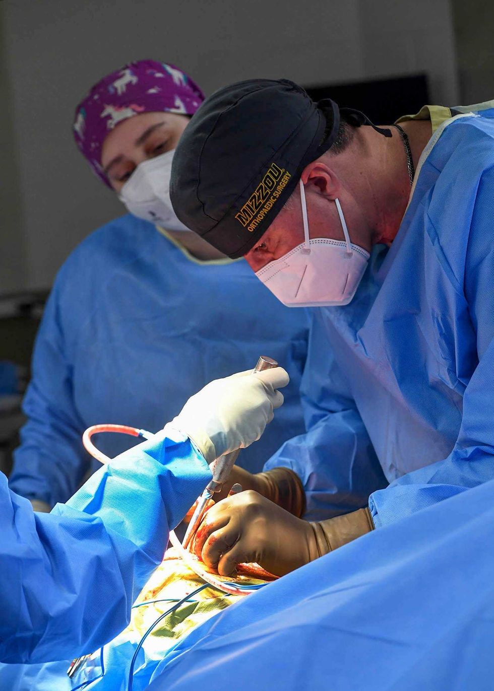 Dr. James Cook, DVM, Ph.D., the Allen Distinguished Chair in Orthopaedic Surgery, director of the Mizzou BioJoint Center at the University of Missouri, and a veterinary surgeon with expertise in joint disease, led a team during a hip replacement surgery on an Amur tiger at Brookfield Zoo’s Animal Hospital.