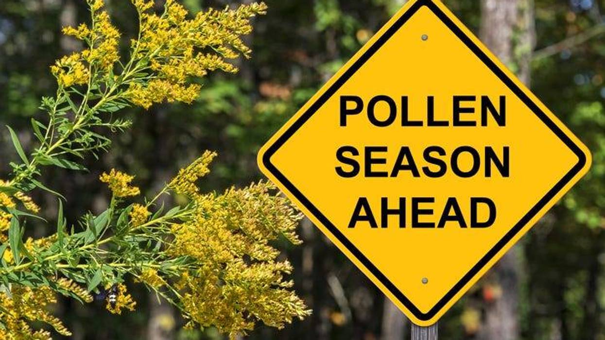 Dr William Innis Talks Pollen Season