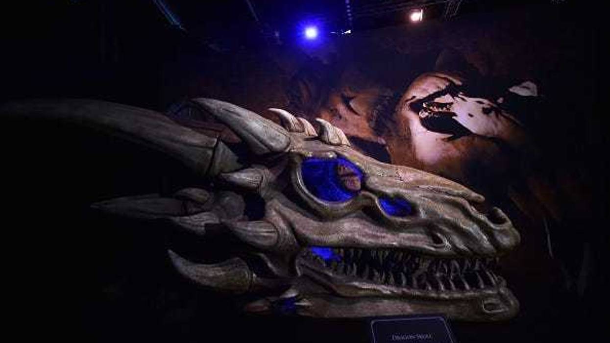 Dragon skulls can be seen on display at the Game Of Thrones: The Touring Exhibition