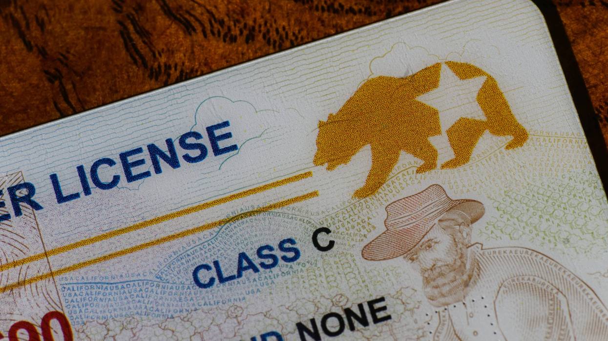drivers license