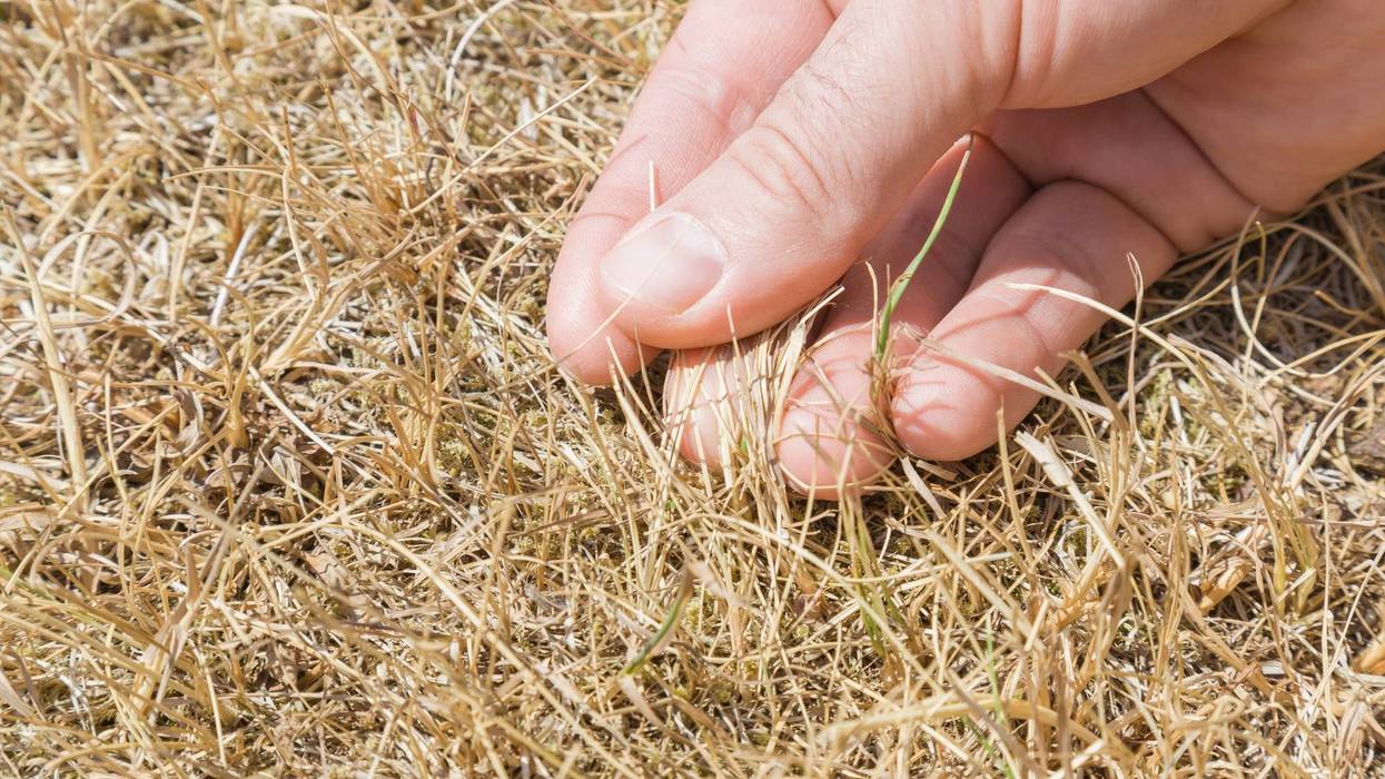 Drought Conditions