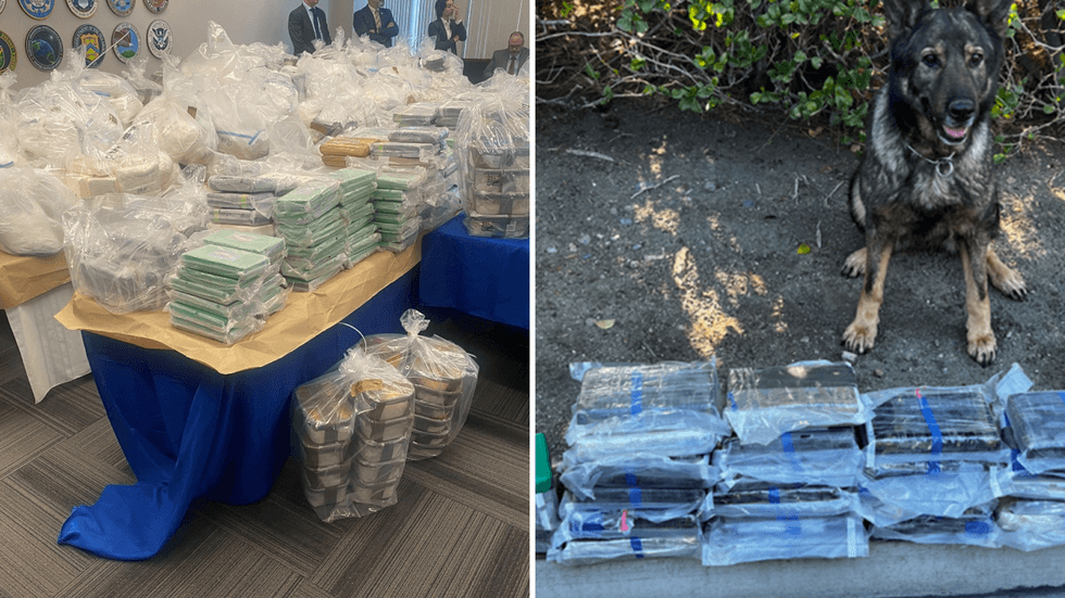 Drugs taken in major international drug bust